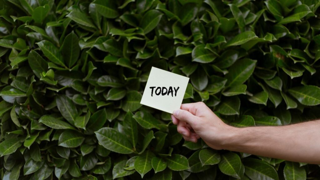 Where Fig Leaves First Came into Fashion in 2025
